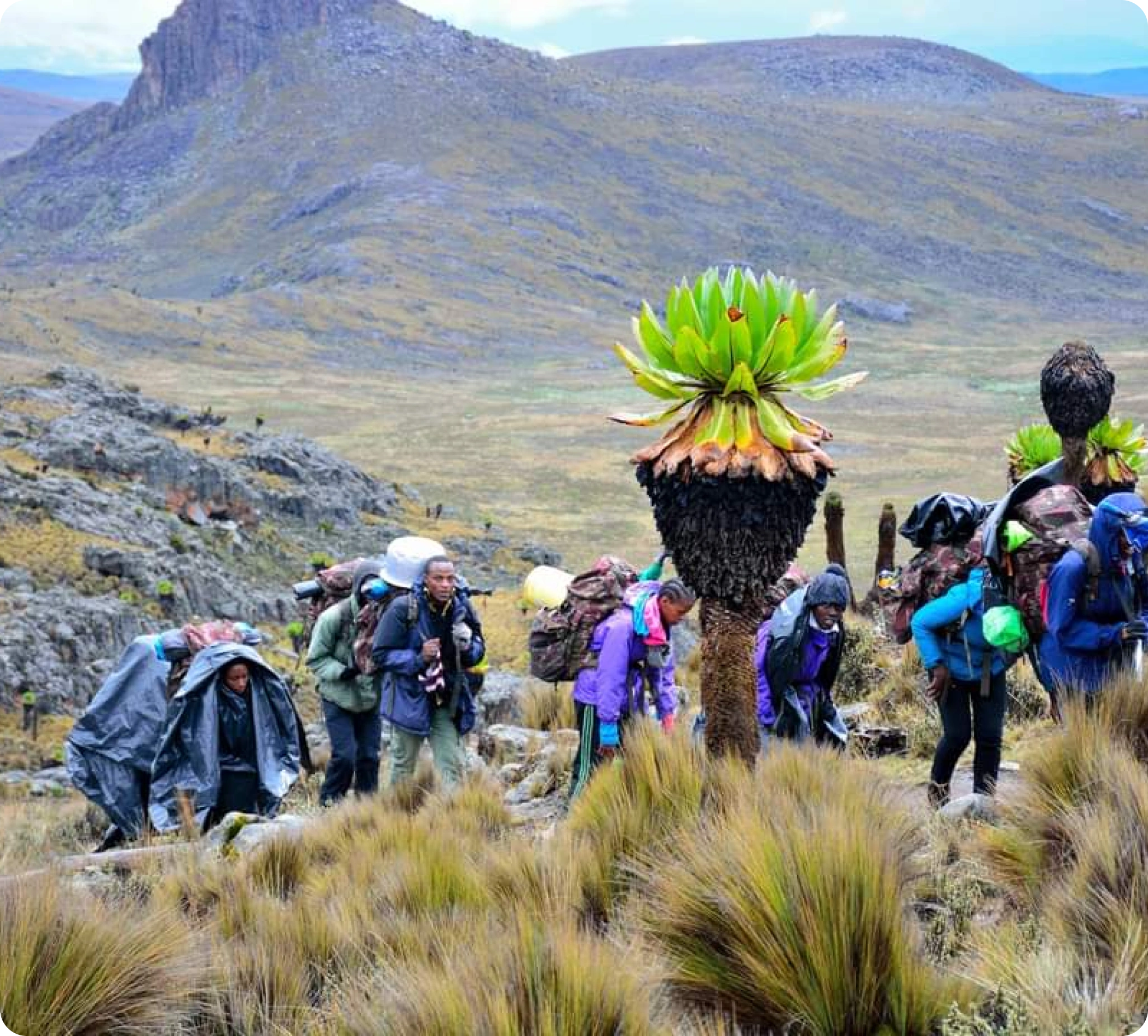 Kenya School of Adventures and Leadership